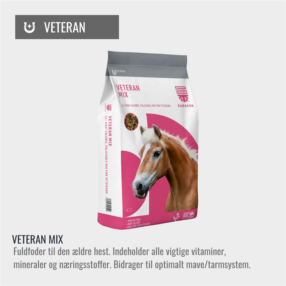 Veteran