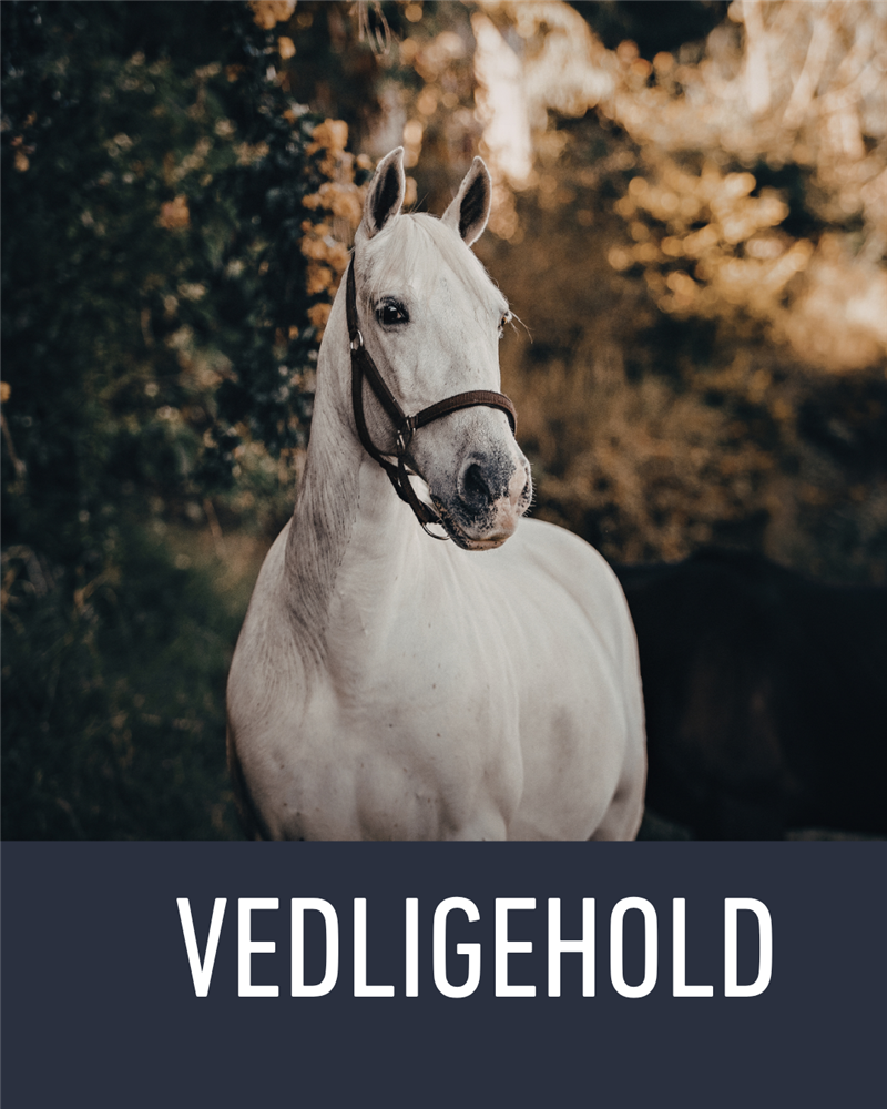 Vedligehold