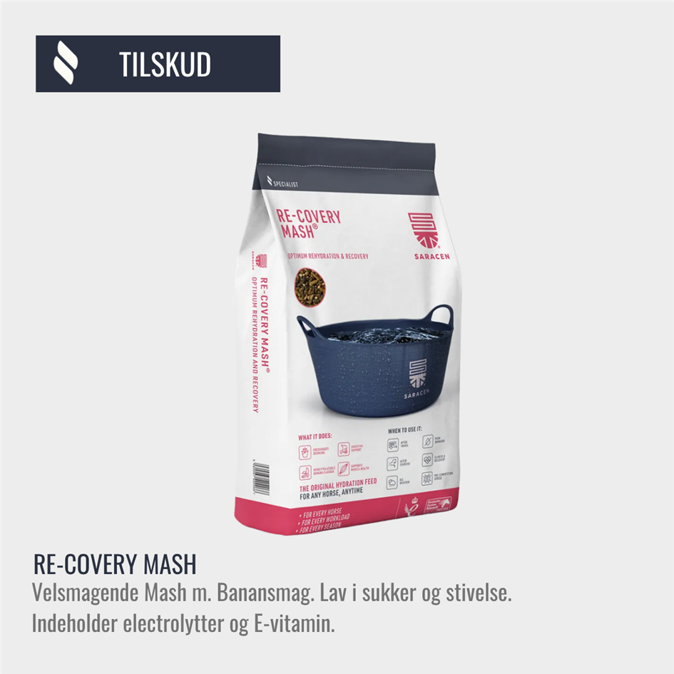 Re-Covery Mash