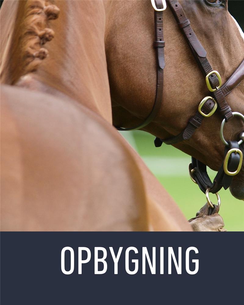 Opbygning