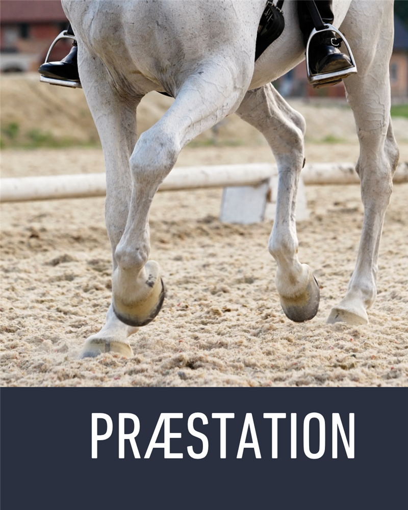 Præstation