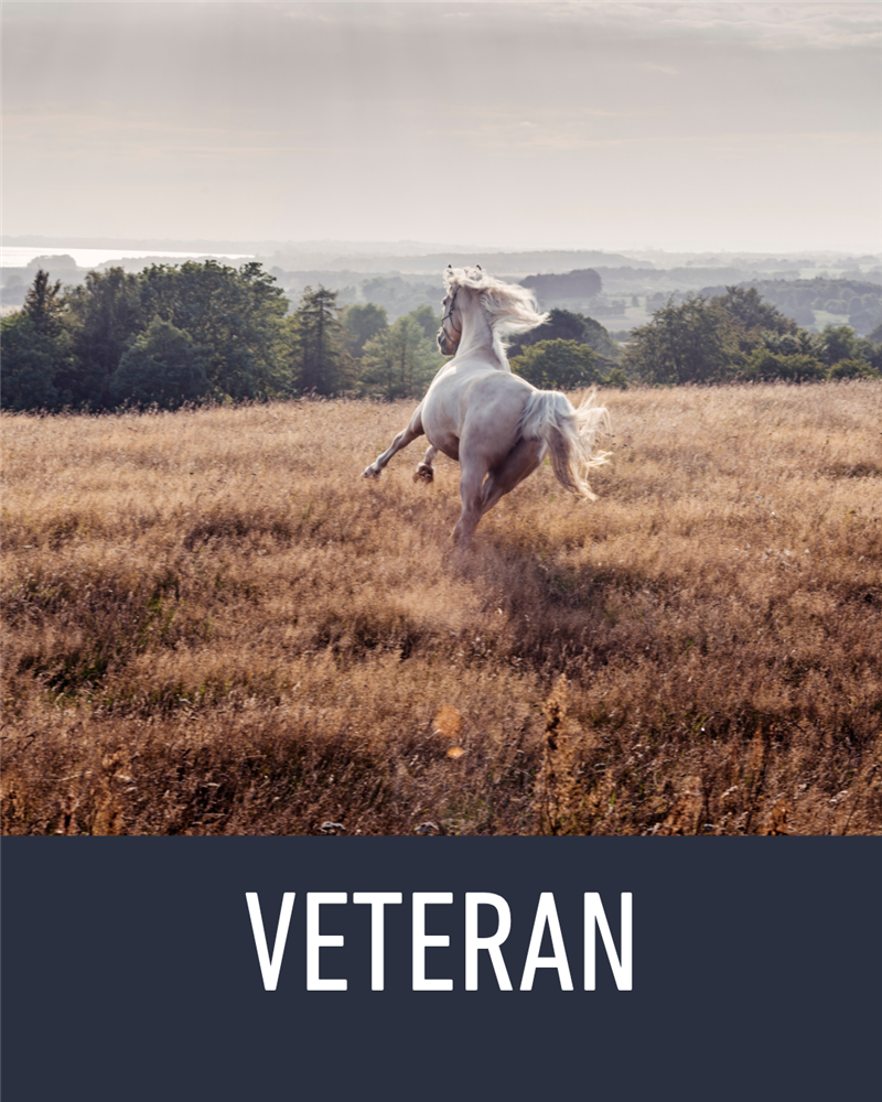 Veteran